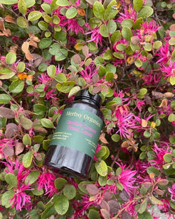 Candida Cleanse (Yeast Detox)