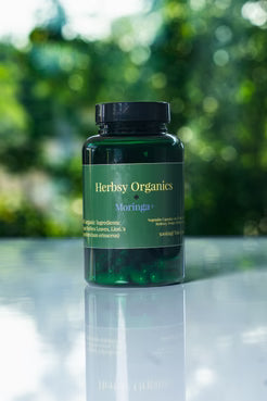 Moringa+ (W/ Lion's Mane)