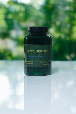 Seamoss+ (Bladderwrack & Burdock root)