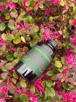 Weight Loss (Herbal Detox & Digestive Support)